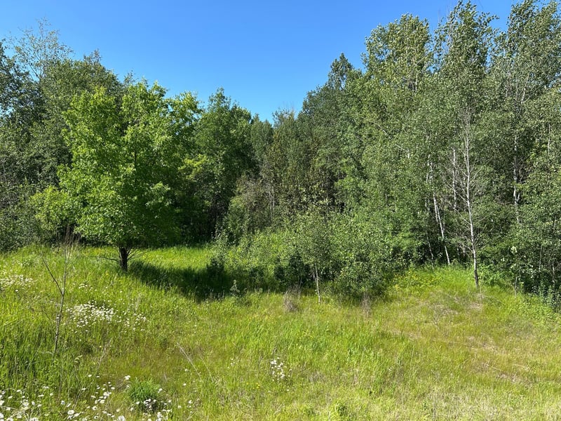 TBD 260th, Sebeka, MN 56477
