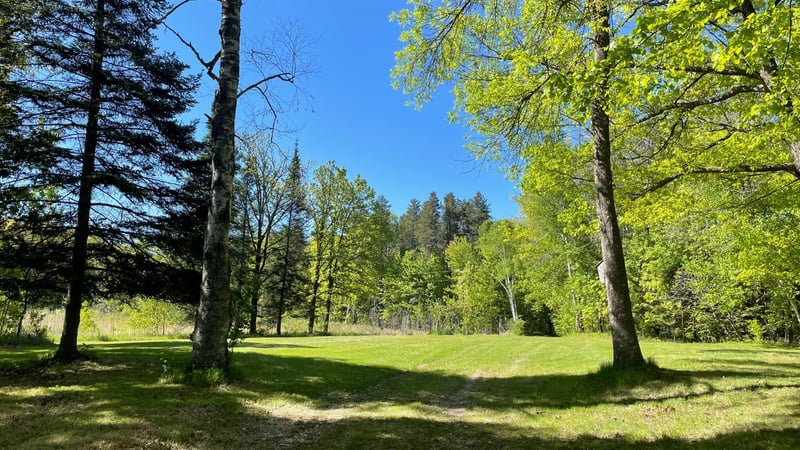 14364 Hummingbird Trl, Deerwood, MN 56444