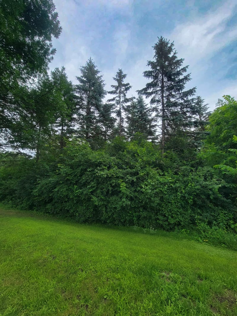TBD 8th Street Ne, Staples, MN 56479