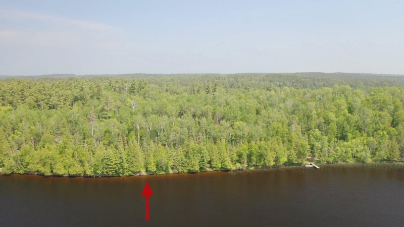 5773 Lake Vermilion N, Tower, MN 55790