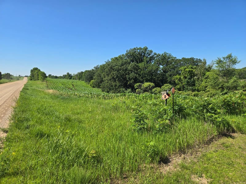 TBD County Hwy 83, Battle Lake, MN 56515
