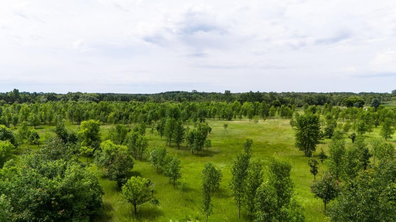 Lot 2 Rutten Ln NE, Carlos, MN 56319