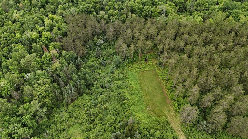 11097 S Pierce Rd, Solon Springs, WI 54873