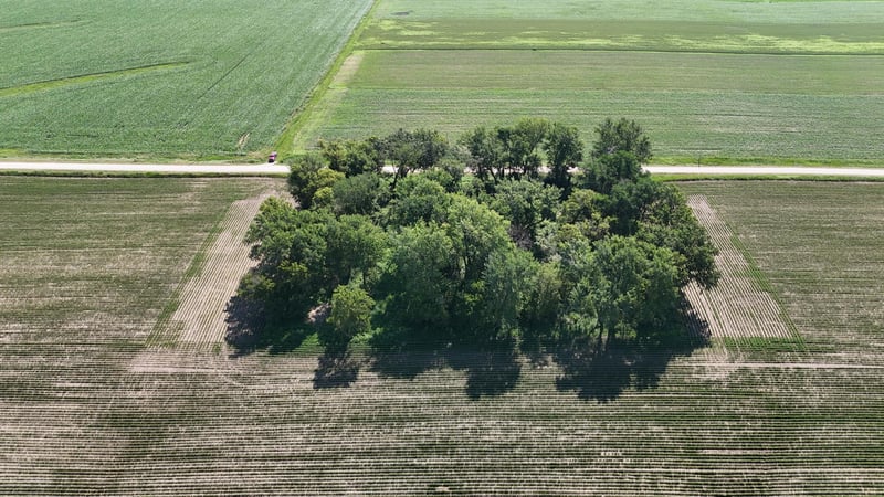 TBD 122nd Ave NE, Eyota, MN 55934