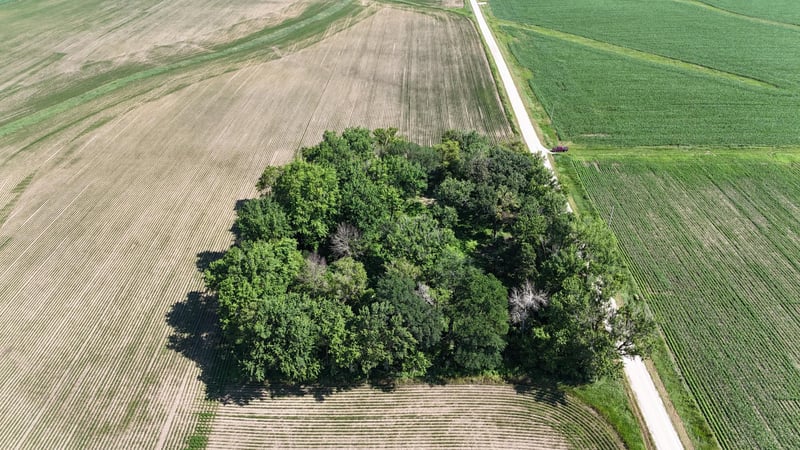TBD 122nd Ave NE, Eyota, MN 55934