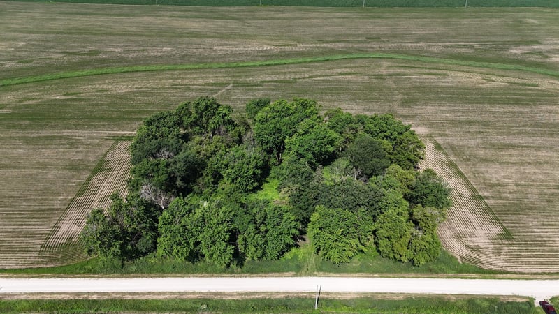 TBD 122nd Ave NE, Eyota, MN 55934