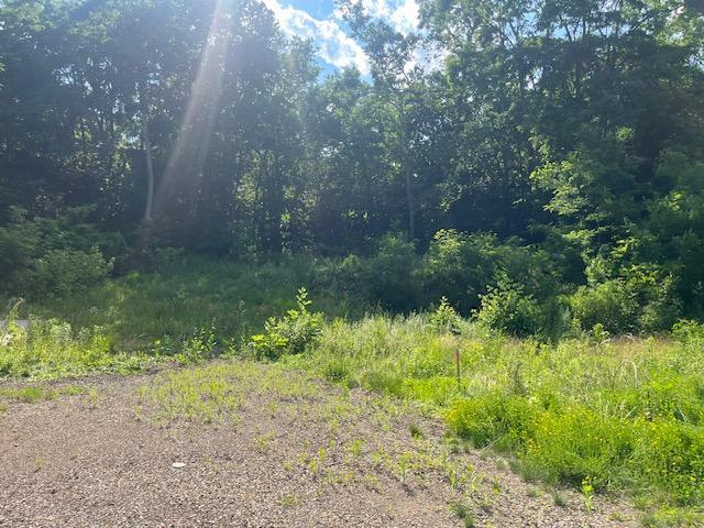 211 Olive St W, Stillwater, MN 55082