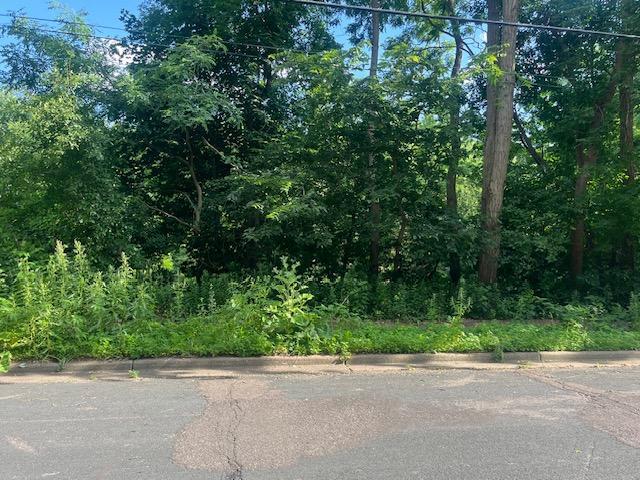 308 4th St S, Stillwater, MN 55082