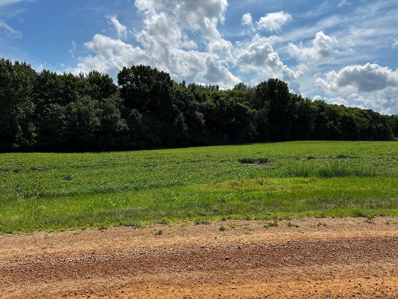 XX TBD Mellgren Ln, Chaska, MN 55318