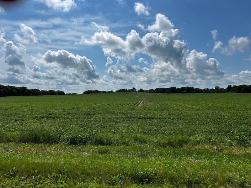XX TBD Mellgren Ln, Chaska, MN 55318
