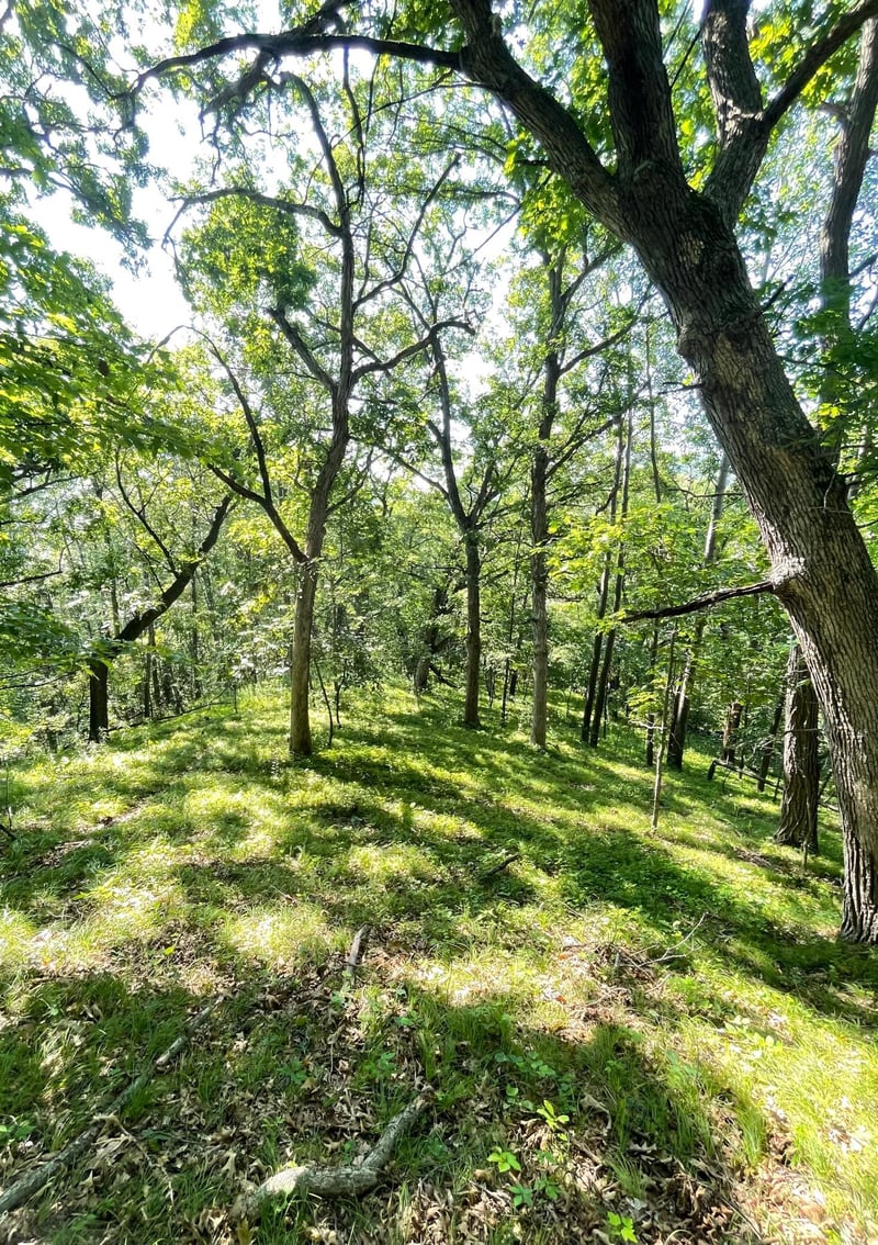 TBD Brown Ln, Pepin, WI 54759