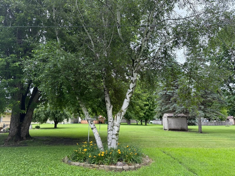 508 4th St NW, New Richland, MN 56072