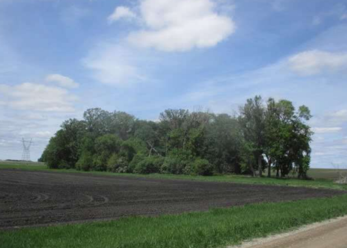TBD 110th St, Norwood Young America, MN 55368