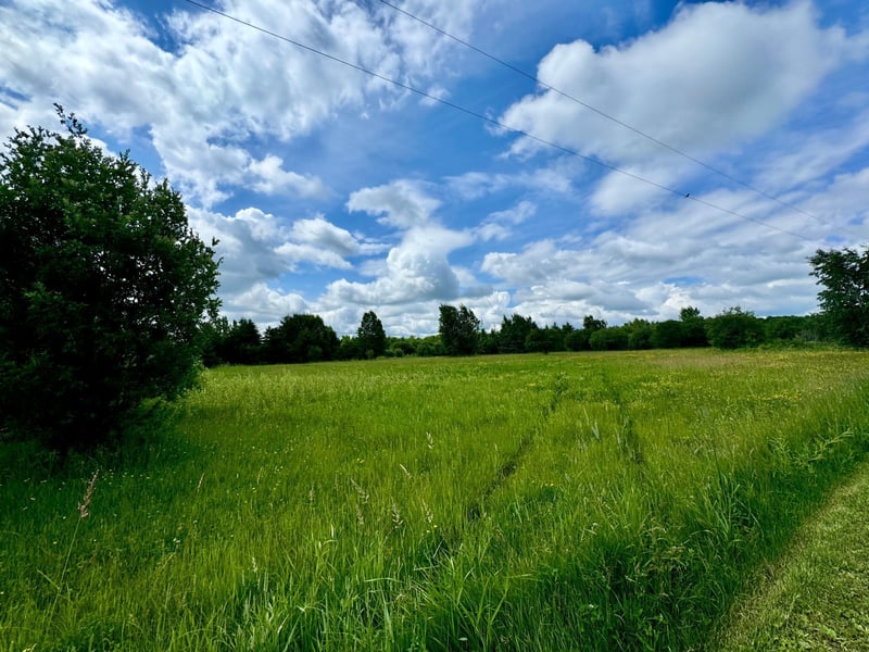 TBD 580th Ave, Warroad, MN 56763