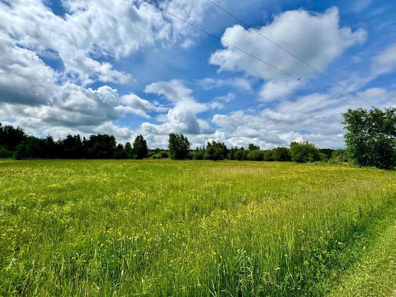 TBD 580th Ave, Warroad, MN 56763
