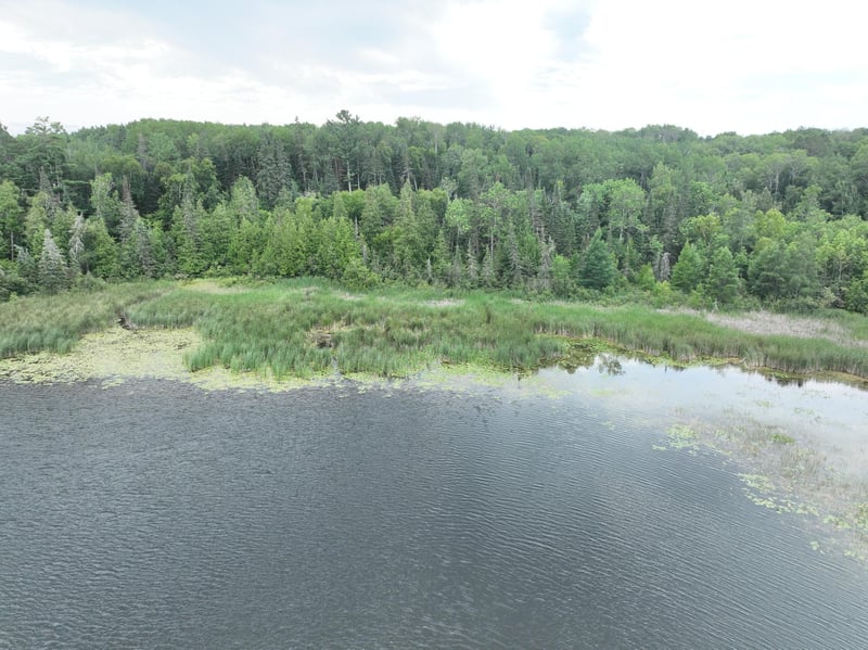TBD-2 Christmas Point Rd NW, Walker, MN 56484