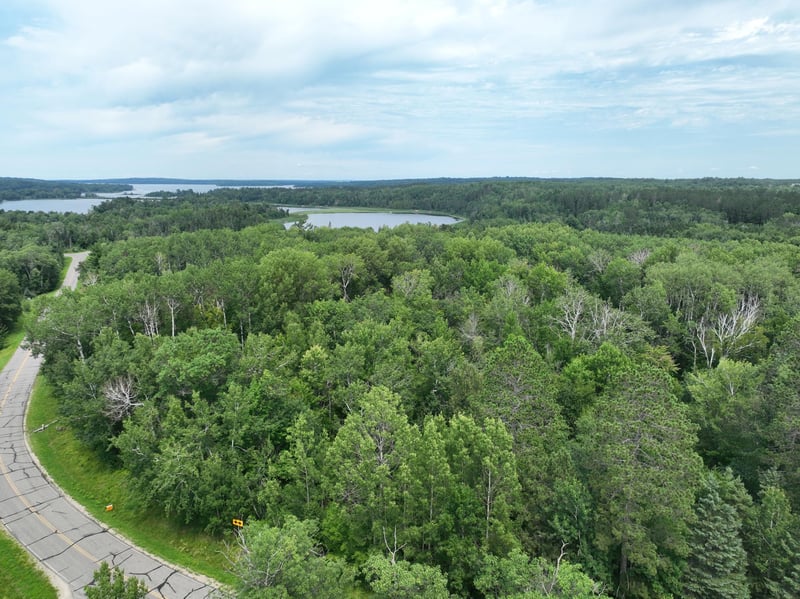 TBD-2 Christmas Point Rd NW, Walker, MN 56484