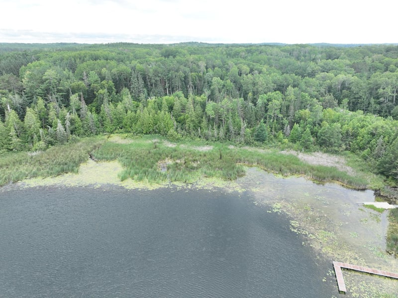 TBD-2 Christmas Point Rd NW, Walker, MN 56484