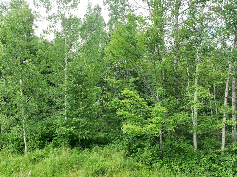 TBD-2 Christmas Point Rd NW, Walker, MN 56484