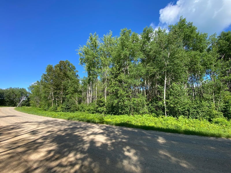 TBD County 23, Akeley, MN 56433
