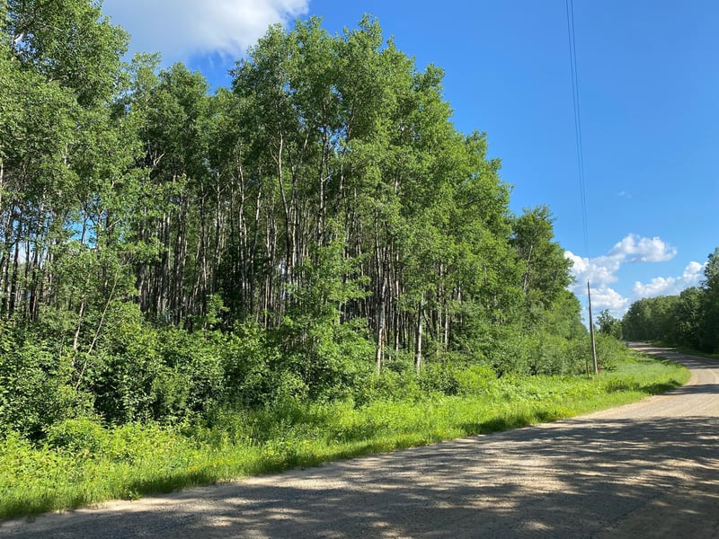 TBD County 23, Akeley, MN 56433