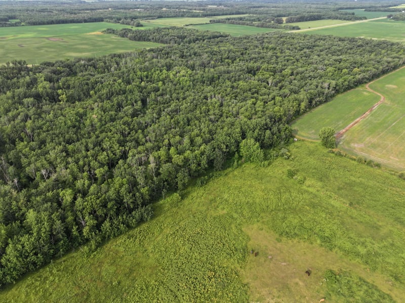 4086 County Highway 29, Twin Valley, MN 56584