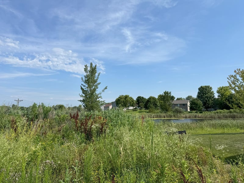 1601 11th St NE, Buffalo, MN 55313