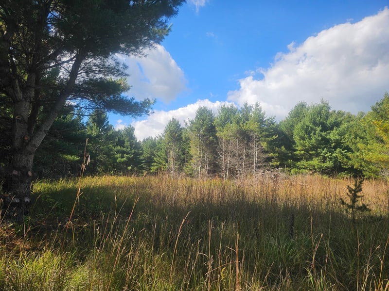 26912 Marias Way, Webster, WI 54893