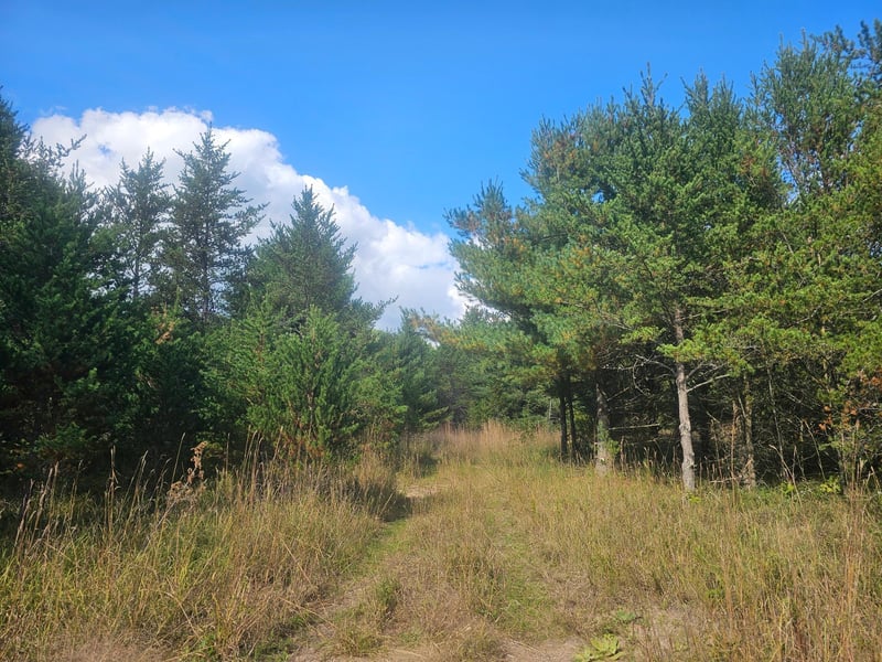 26912 Marias Way, Webster, WI 54893