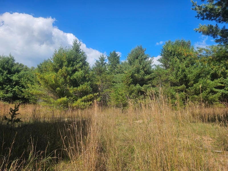 26912 Marias Way, Webster, WI 54893