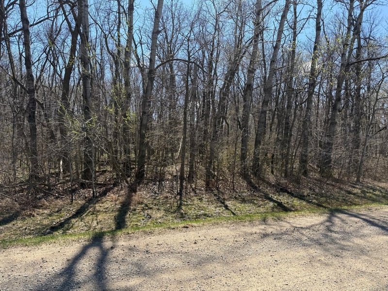 TBD 306th St, Henderson, MN 56044