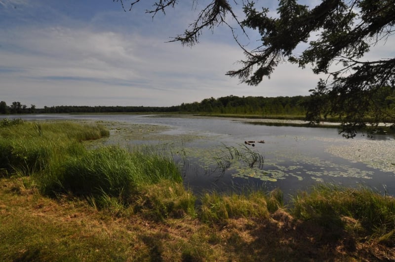 4610 Boone Point Rd NW, Hackensack, MN 56452