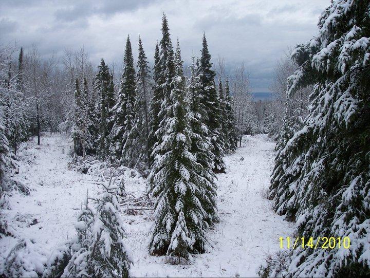 XX Stanley Rd, Two Harbors, MN 55616