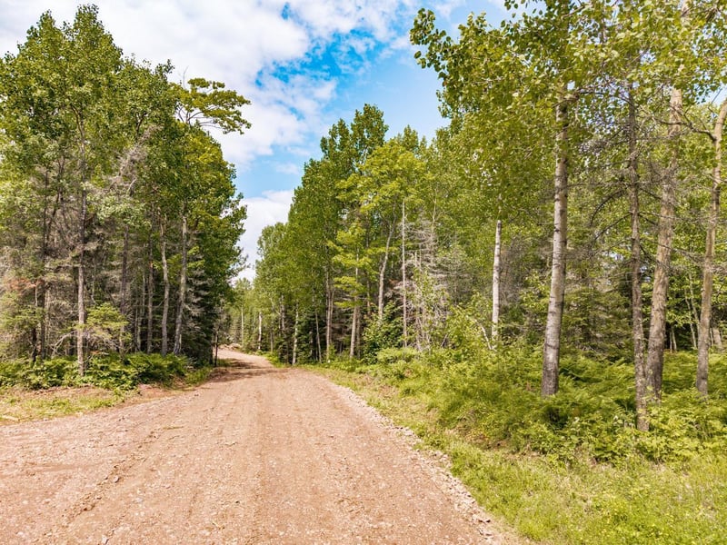 XX Stanley Rd, Two Harbors, MN 55616