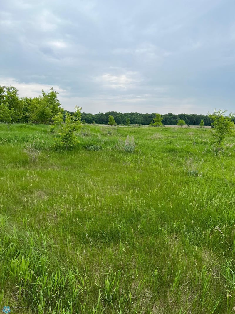 TBD Tbd, Dent, MN 56528