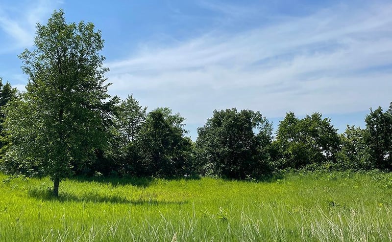 Lot 4 Seclusion Point Rd, Dent, MN 56528