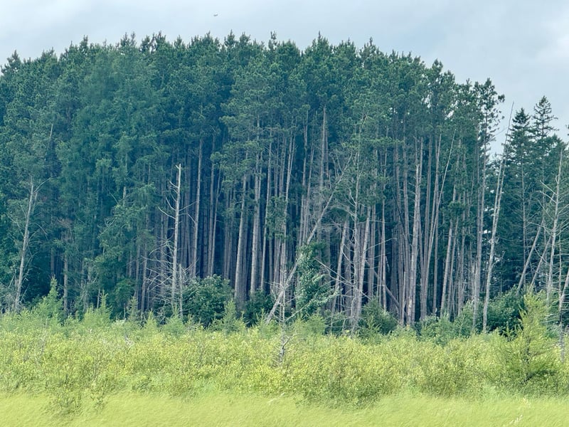 TBD 20th St. SW 20 St Sw, Pine River, MN 56474