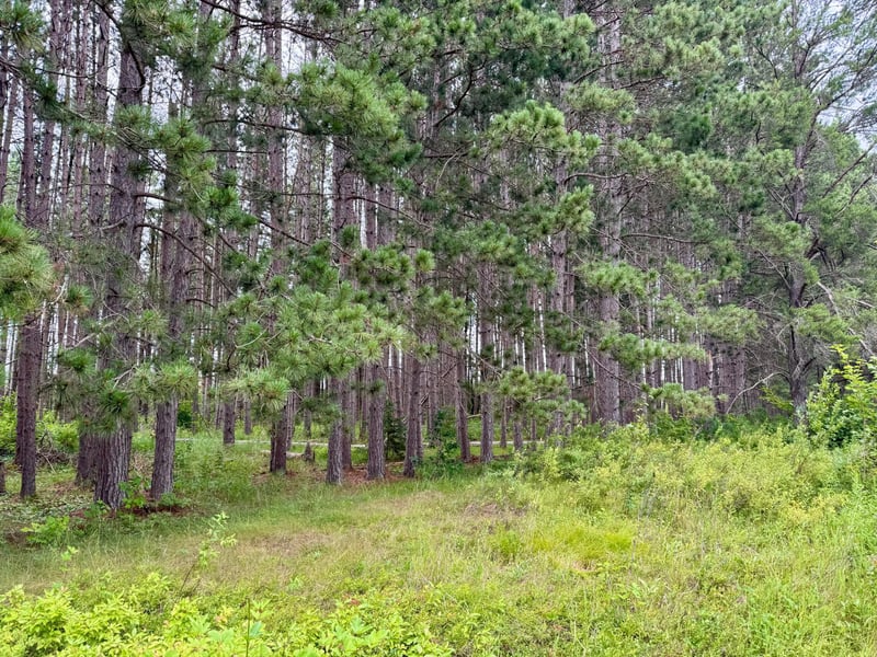 TBD 20th St. SW 20 St Sw, Pine River, MN 56474