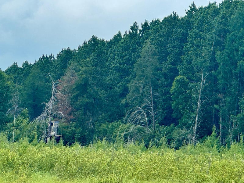 TBD 20th St. SW 20 St Sw, Pine River, MN 56474