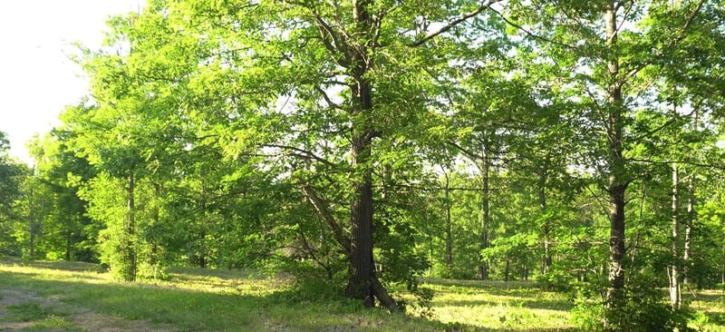 83xxx - Lot 6 Ashwabay Heights Rd, Bayfield, WI 54814
