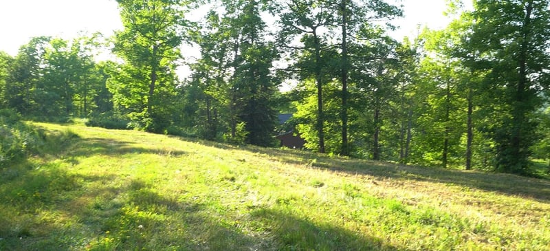 83xxx - Lot 6 Ashwabay Heights Rd, Bayfield, WI 54814