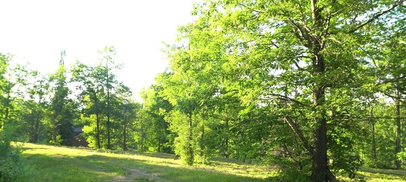83xxx - Lot 6 Ashwabay Heights Rd, Bayfield, WI 54814