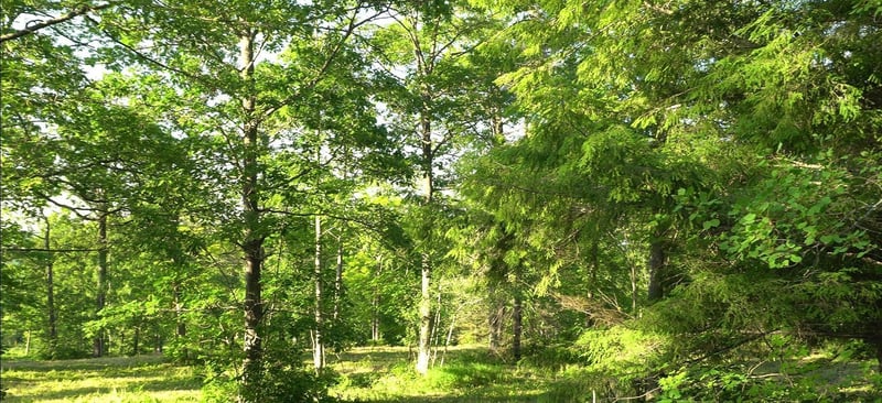 83xxx - Lot 6 Ashwabay Heights Rd, Bayfield, WI 54814