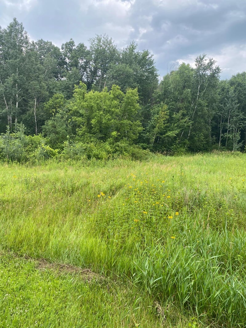 19xx 240th Ave, Eureka, WI 54024