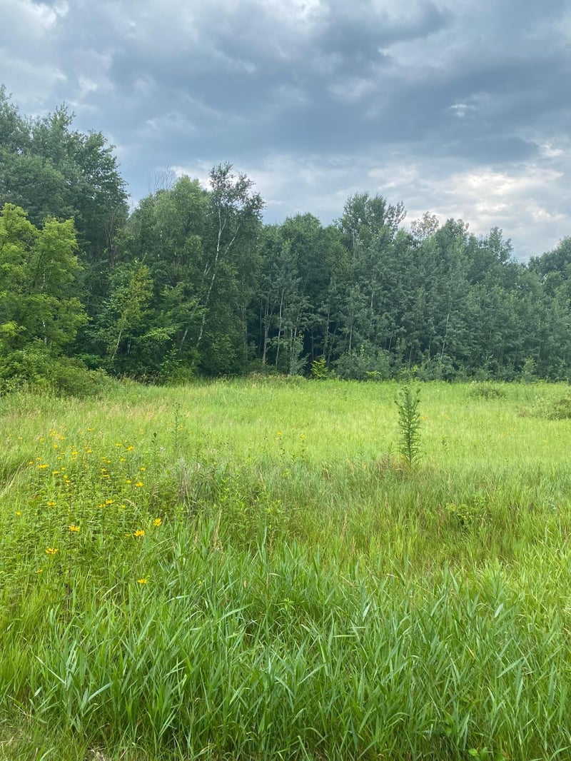 19xx 240th Ave, Eureka, WI 54024