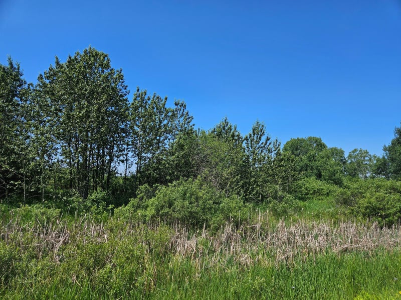 xxx County Road 32, Aitkin, MN 56431