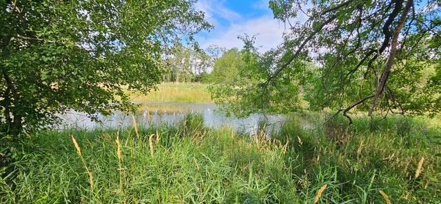 XXXX Willow Rd NE, Carlos, MN 56319