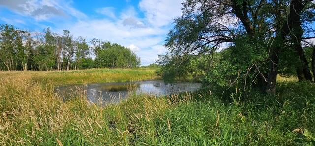 XXXX Willow Rd NE, Carlos, MN 56319