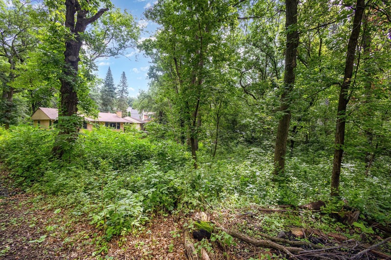 1431 Skiles Ln, Arden Hills, MN 55112