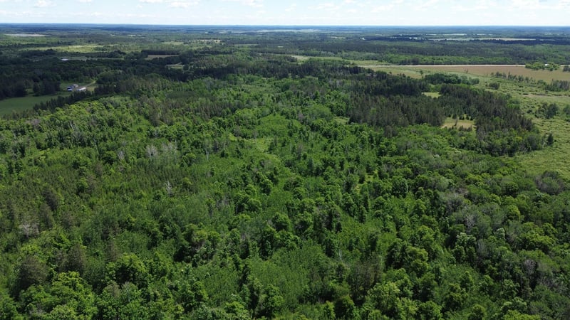 XXXX 159th Ave, Sebeka, MN 56477
